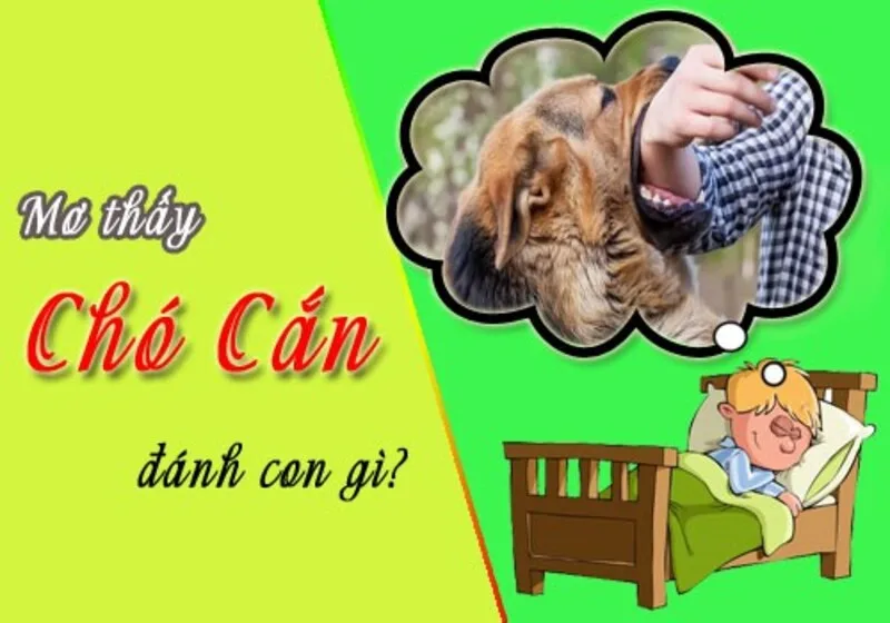 Giải mã giấc mơ nên dừng ở mức tham khảo, không nên để ảnh hưởng đến quyết định thực tế.