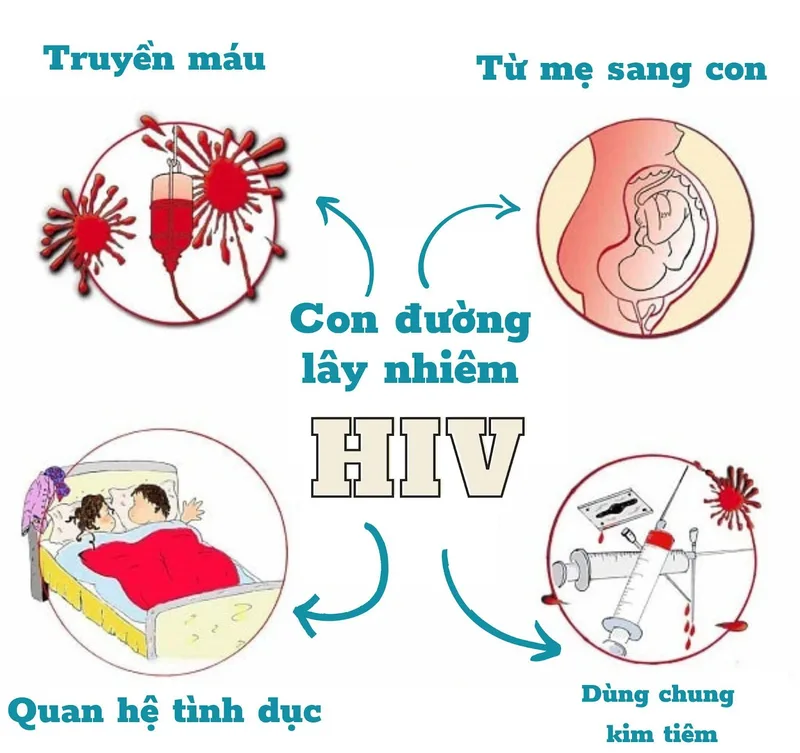 HIV lây truyền qua một số dịch cơ thể có chứa virus, chủ yếu qua máu, tình dục và từ mẹ sang con.