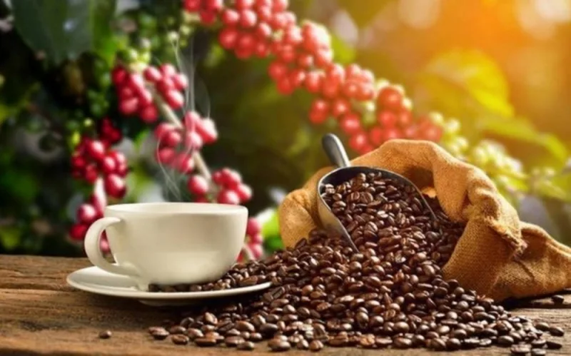 Người bán nên cân nhắc kỹ giữa bán ngay và giữ hàng khi thị trường biến động