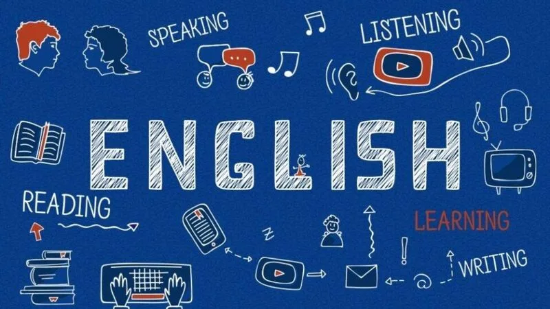 d14 gồm những môn nào
